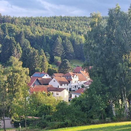 Superior - Ferienhaus Am Engelsbach Im Thueringer Wald Екстер'єр фото