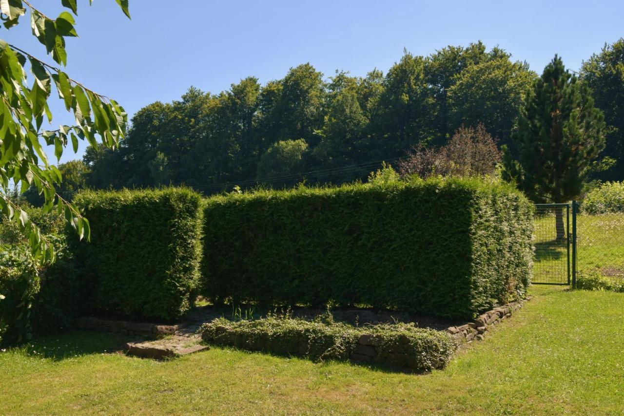Superior - Ferienhaus Am Engelsbach Im Thueringer Wald Екстер'єр фото